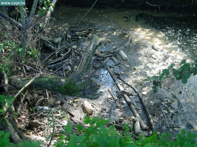 DSCN6378.JPG