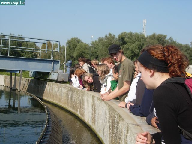 DSCN6384.JPG