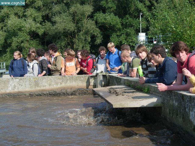 DSCN6385.JPG