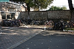 IMG_7080.JPG