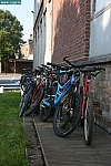 IMG_7081.JPG
