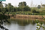 IMG_7138.JPG