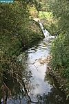 IMG_7146.JPG