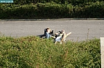 IMG_1682.JPG