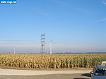 PA120875.JPG