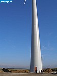 PA120883.JPG