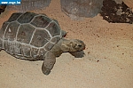 DSC_0082.JPG