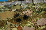DSC_0086.JPG