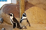 DSC_0107.JPG
