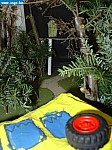 DSC02109.JPG