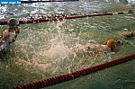 IMG_2768.JPG