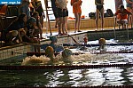 IMG_2792.JPG