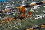 IMG_2793.JPG