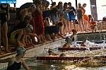 IMG_2798.JPG