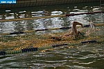 IMG_2800.JPG
