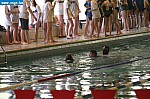 IMG_2805.JPG