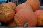 DSC_0022.JPG