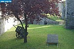DSC_0091.JPG