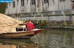 DSC_0182.JPG