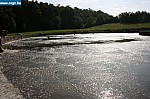 IMG_1879.JPG