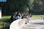 IMG_1881.JPG