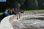 IMG_1883.JPG