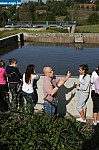 IMG_1884.JPG