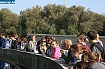 IMG_1890.JPG