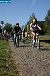 IMG_1950.JPG