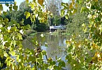 P1010002.JPG