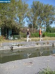 P1010007.JPG