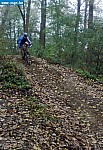 Photo0155.jpg