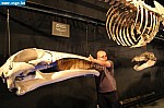 IMG_2836.JPG