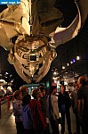 IMG_2838.JPG