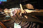 IMG_2839.JPG
