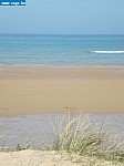 DSC02897.JPG