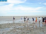 DSC03094.JPG