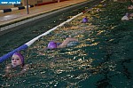 IMG_3916.JPG
