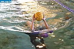 IMG_3933.JPG