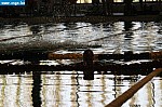 IMG_3942.JPG