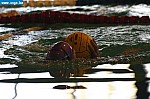 IMG_3943.JPG