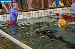IMG_3945.JPG