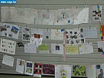 IMG_1281.JPG