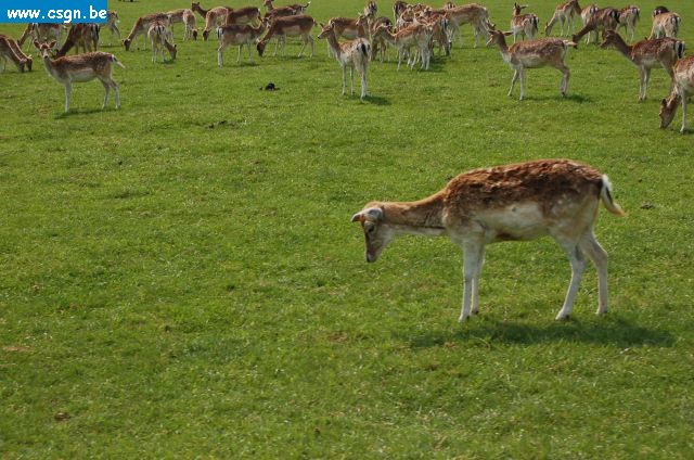 DSC_0158.JPG