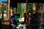 DSC_0033.JPG