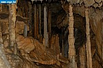 DSC_0062.JPG