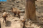DSC_0096.JPG