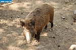 DSC_0100.JPG