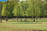 DSC_0116.JPG
