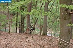 DSC_0122.JPG